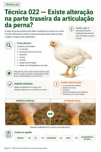 Página do material — Técnica 022