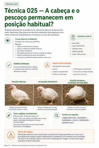 Página do material — Técnica 025