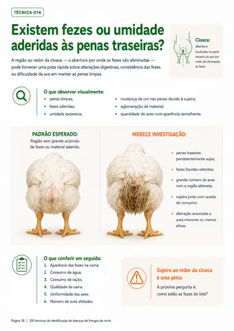 Página do material — Técnica 014