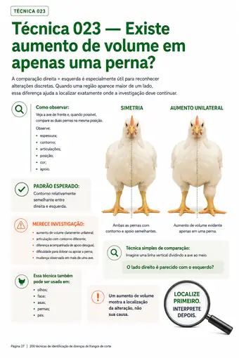Página do material — Técnica 023