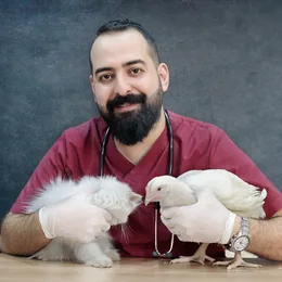 Médico veterinário