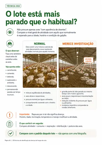 Página do material — Técnica 002