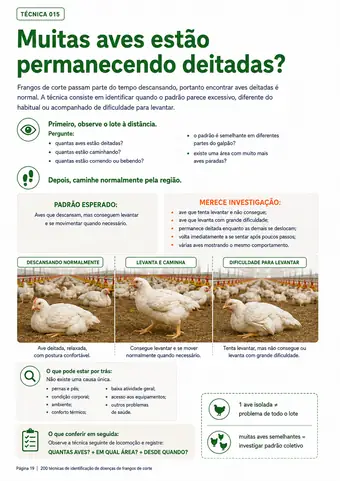 Página do material — Técnica 015